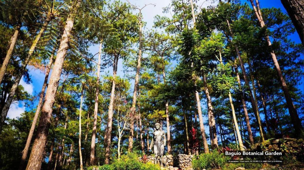 Zen Rooms Venus Parkview Baguio Baguio City Exterior foto